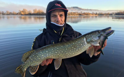 Le brochet